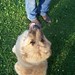 Debbie Chadwick Photo 10