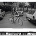 Gloria Stephens Photo 7