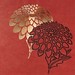 Dan Xu Photo 15