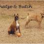 Susan Rouse Photo 32