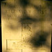 Margaret Wheeler Photo 11