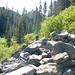 Greg Field Photo 23