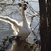 Amy Swan Photo 34