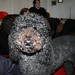 Anna Greenwald Photo 15