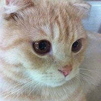 Yashan Wang Photo 6