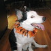 Maxine Blevins Photo 7