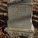 Amelia Smith Photo 16