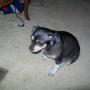 Kimberly Hanks Photo 26