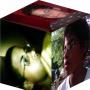 Frankie Correa Photo 9
