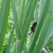 Robert Dutcher Photo 16