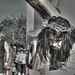 Gerardo Robles Photo 34