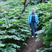 Debbie Kincaid Photo 24