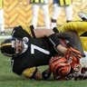 John Pieper Photo 35