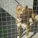 Andrea Buls Photo 4