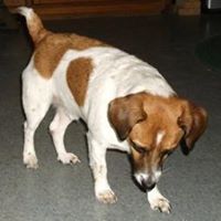 Catherine Haskell Photo 9