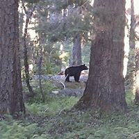 Heidi Cook Photo 27