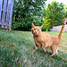 Ginger Morris Photo 17