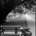 Mark Jasin Photo 6