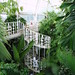 Richard Kew Photo 12