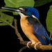 Stephen Tully Photo 22