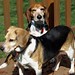 Louis Clark Photo 38
