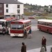 Austin Davies Photo 13