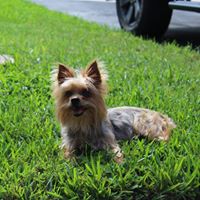 Robyn Schafer Photo 8