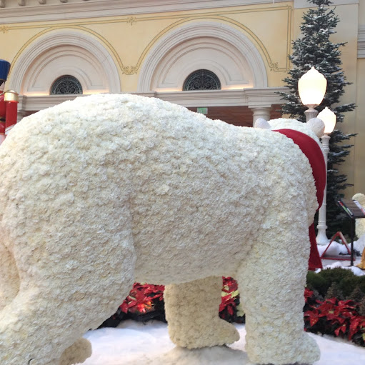 Shradha Shah Photo 9