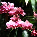 Nancy Forrester Photo 22