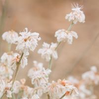 Lucy Lucas Photo 35