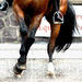 Arlene Gladstone Photo 4