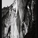 Mitchell White Photo 18