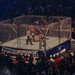 Shawn Rhodes Photo 20