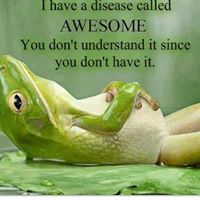 Les Major Photo 5 Les Major Photo 5