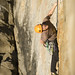 Joel Murray Photo 43