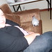 Kathleen Villa Photo 17