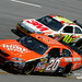 Matthew Gibbs Photo 17