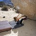 Amy Streeter Photo 19