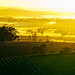 Dawn Hunter Photo 14