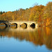 Robin Bryson Photo 8