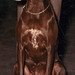 Sara Pointer Photo 15