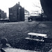Cornell Cook Photo 14