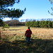 Doyle Helms Photo 1