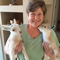 Cheryl Mueller Photo 33