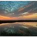 Robert Toler Photo 24