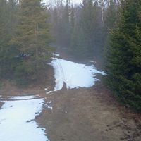 Bruce Wiley Photo 25