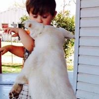 Debbie Sandlin Photo 4