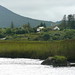 Jackie Doyle Photo 10