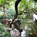 Jie Pan Photo 29
