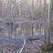 Donnie Springs Photo 6